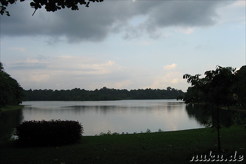 Singapore Zoo, Singapur