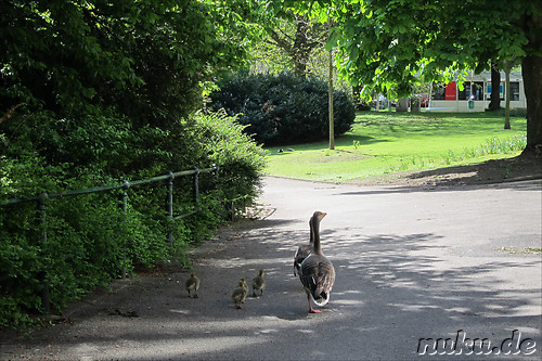 Spee's Graben in Duesseldorf