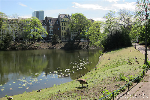 Spee's Graben in Duesseldorf