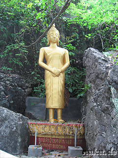 Sunday-Buddha