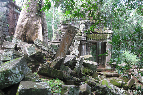 Ta Prohm Tempel in Angkor, Kambodscha