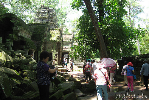 Ta Prohm Tempel in Angkor, Kambodscha