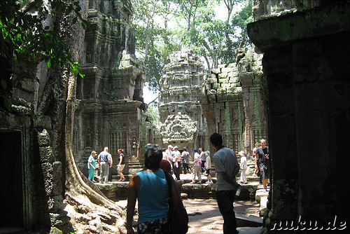Ta Prohm Tempel in Angkor, Kambodscha