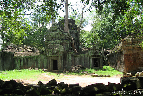 Ta Prohm Tempel in Angkor, Kambodscha