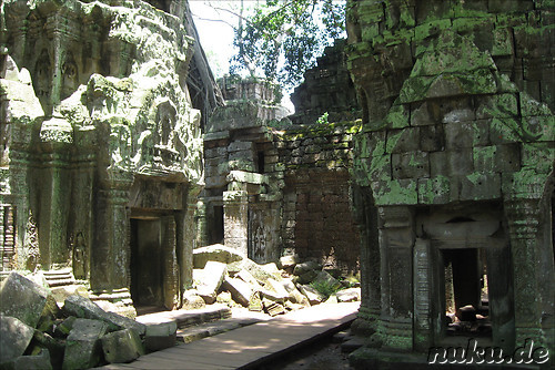 Ta Prohm Tempel in Angkor, Kambodscha