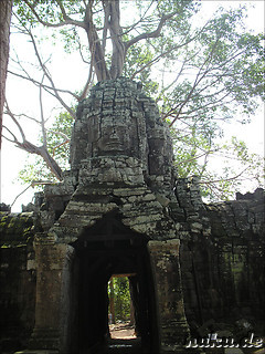 Ta Som Tempel in Angkor, Kambodscha