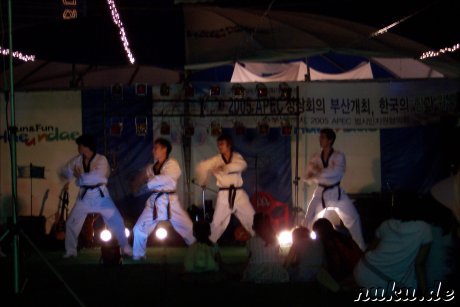 Taekwondo-Vorfuehrung