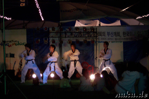 Taekwondo-Vorfuehrung