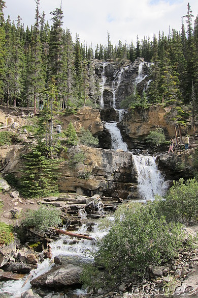 Tangle Creek Falls - Wasserfall im Jasper National Park, Kanada