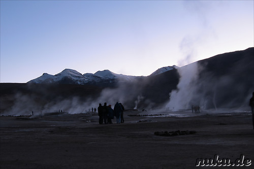 Tatio Geisers in der Atacamawueste, Chile