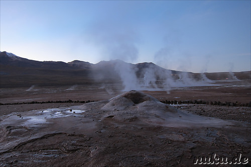 Tatio Geisers in der Atacamawueste, Chile