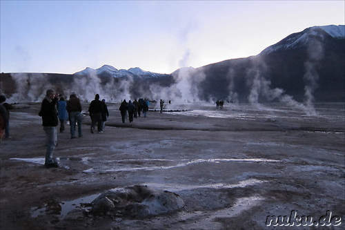 Tatio Geisers in der Atacamawueste, Chile