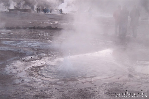 Tatio Geisers in der Atacamawueste, Chile