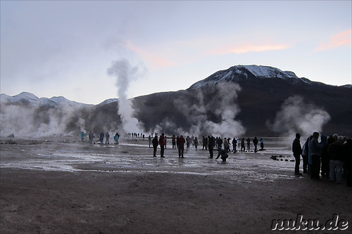 Tatio Geisers in der Atacamawueste, Chile