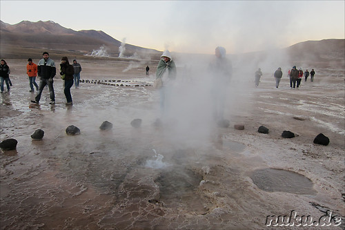 Tatio Geisers in der Atacamawueste, Chile