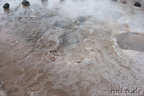 Tatio Geisers in der Atacamawueste, Chile