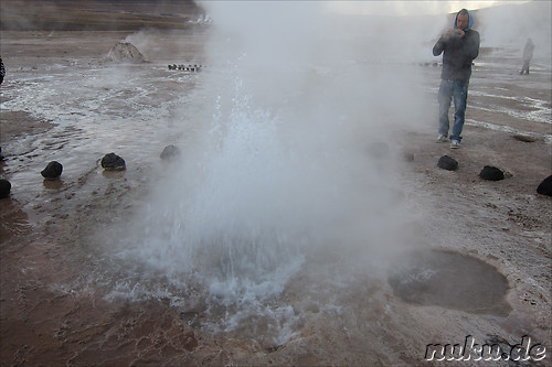 Tatio Geisers in der Atacamawueste, Chile