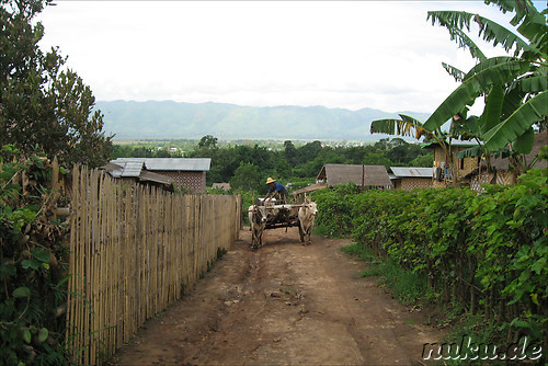 Taung-Yo-Village am Inle Lake, Myanmar