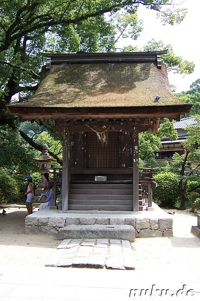Tenman-gu Shrine, Dazaifu