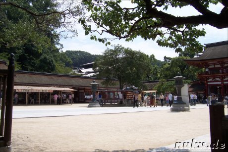 Tenman-gu Shrine, Dazaifu