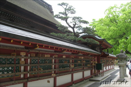 Tenman-gu Tempel in Dazaifu bei Fukuoka, Japan
