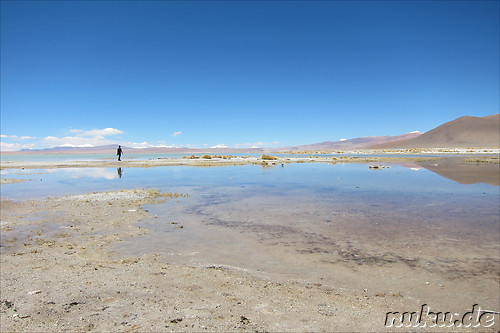 Termas de Polques am Salar de Chalviri, Uyuni, Bolivien