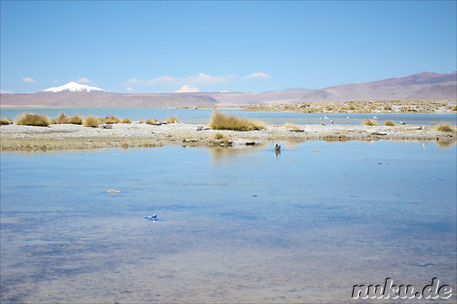Termas de Polques am Salar de Chalviri, Uyuni, Bolivien