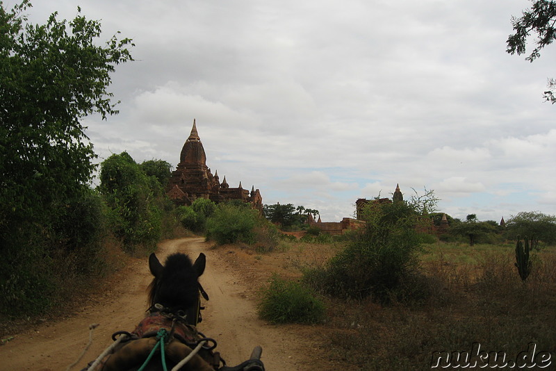 Tha Gyar Hit - Tempel in Bagan, Myanmar