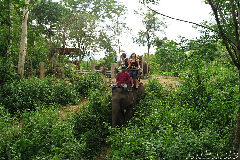 Touristen auf einem Elefant