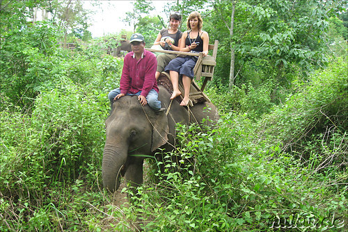 Touristen auf einem Elefant
