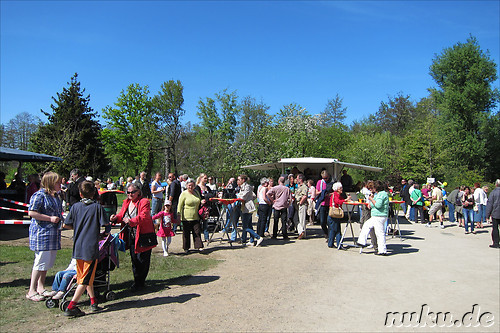 Tulpenfest in Winsen/Luhe