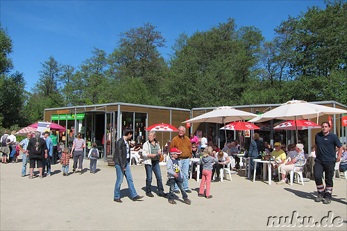 Tulpenfest in Winsen/Luhe