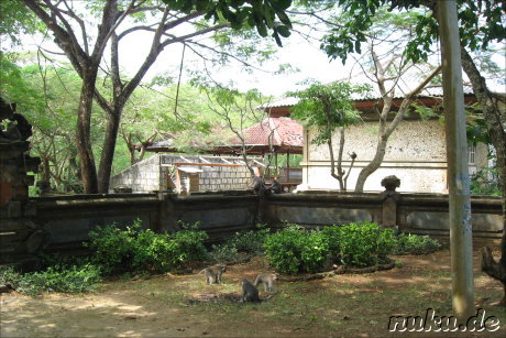 Ulu Watu - Tempel der Affen (Bali, Indonesien)