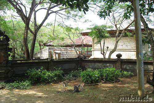 Ulu Watu - Tempel der Affen (Bali, Indonesien)