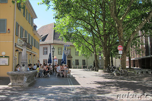 Universitaetsviertel in Freiburg im Breisgau