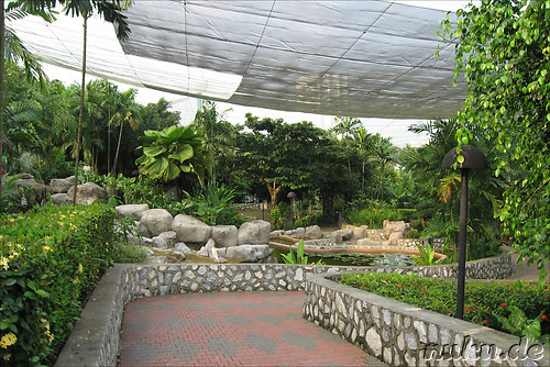 Vogelpark Lake Gardens in Kuala Lumpur, Malaysia