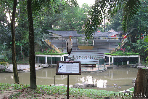 Vogelpark Lake Gardens in Kuala Lumpur, Malaysia