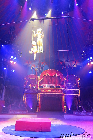 Vorstellung von Zirkus Roncalli in Nürnberg