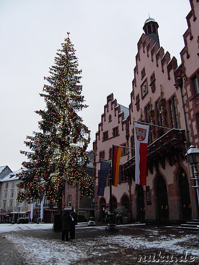 Weihnachtsbaum vor dem Frankfurter Rathaus