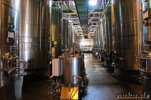 Weingut Alta Vista in Chacras de Coria, Argentinien