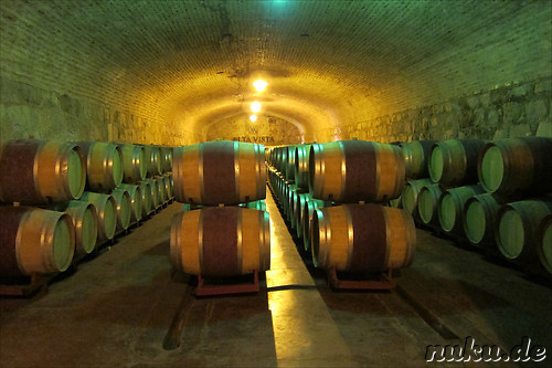 Weingut Alta Vista in Chacras de Coria, Argentinien