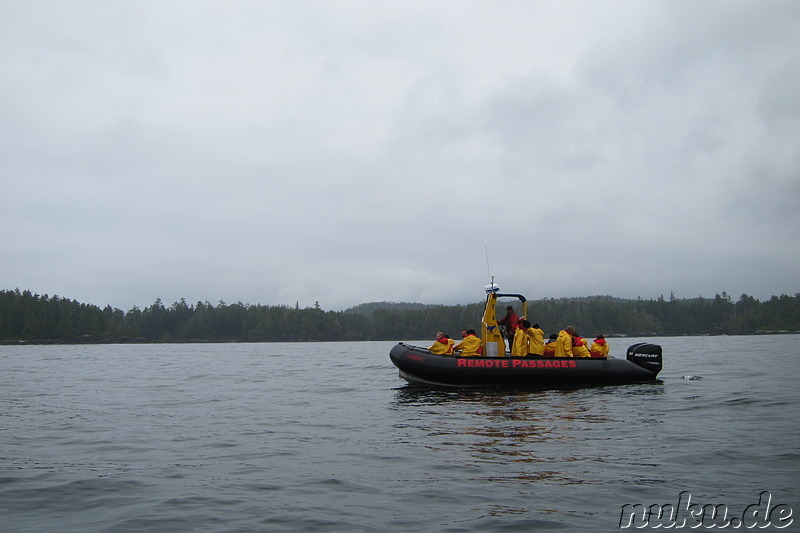 Whale Watching Tour mit Remote Passages in Tofino, Vancouver Island, Kanada