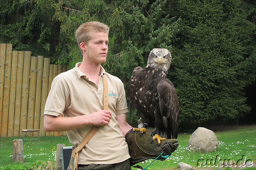 Wildpark Lueneburger Heide in Nindorf