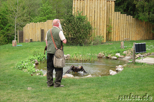 Wildpark Lueneburger Heide in Nindorf