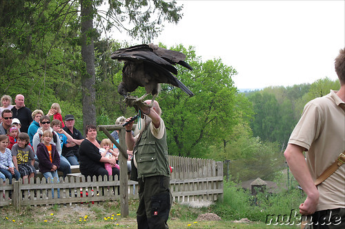 Wildpark Lueneburger Heide in Nindorf