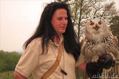 Wildpark Lueneburger Heide in Nindorf