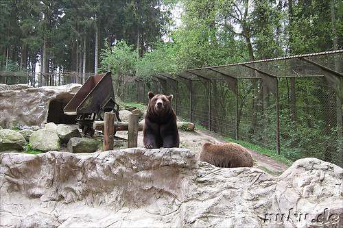 Wildpark Lueneburger Heide in Nindorf