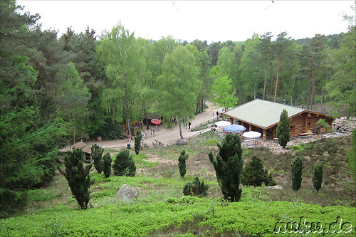 Wildpark Lueneburger Heide in Nindorf