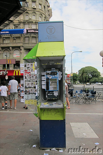 Wildwuchs an der Telefonzelle