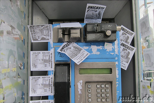 Wildwuchs an der Telefonzelle